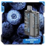 VNSN Ghost 15000 Disposable Blueberry Ice