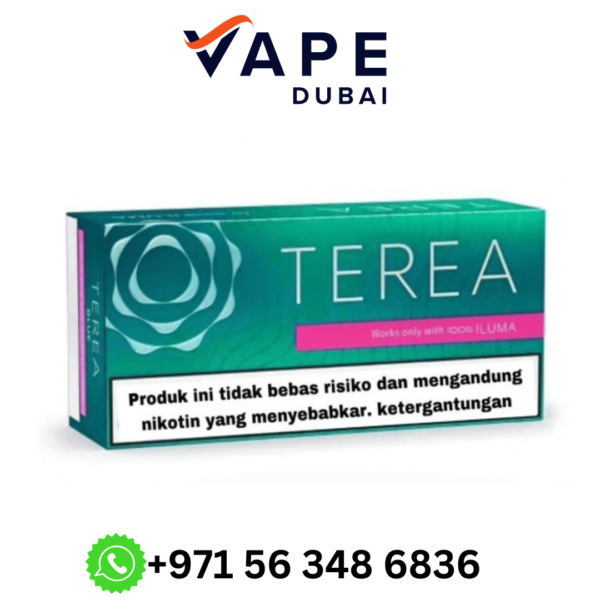 Heets TEREA Indonesia Black Green In Dubai UAE