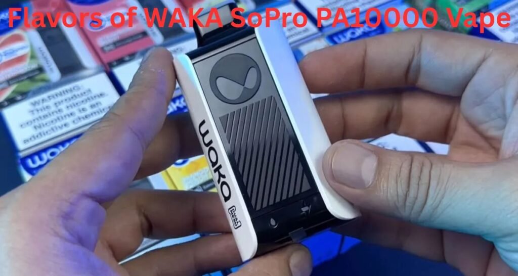 WAKA SoPro PA10000 Vape